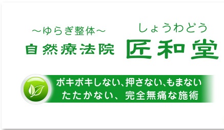 伊勢崎市のバランス活性療法の整体院【自然療法院　匠和堂】