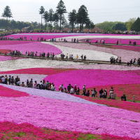 秩父観光ガイド