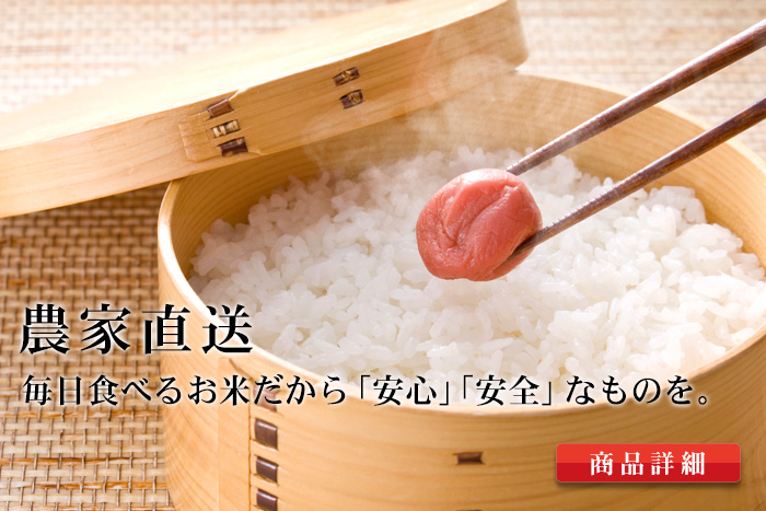 農家のお米通販　斉藤さん家のお米