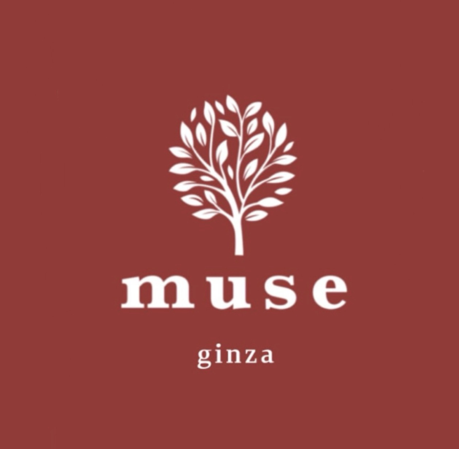 シーシャカフェ＆バーmuse（ミューズ）銀座店（hookah lounge muse）