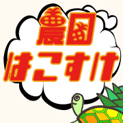 沖縄西表島ピーチパイン・マンゴー送料無料でお届け「農園はこすけ」