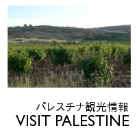 パレスチナ旅行＆観光ガイド VISIT PALESTINE