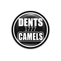 デンツ DENTS 手袋 通販専門店 【CAMELS】